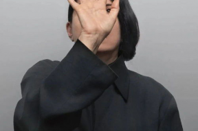 玛丽娜·阿布拉莫维奇：艺术家在场,艺术家的现场互动与创作奥秘