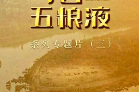 考古五粮液系列专题片,考古揭秘酒都秘史