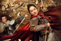 花木兰之大漠营救,大漠营救——英勇女将再战沙场